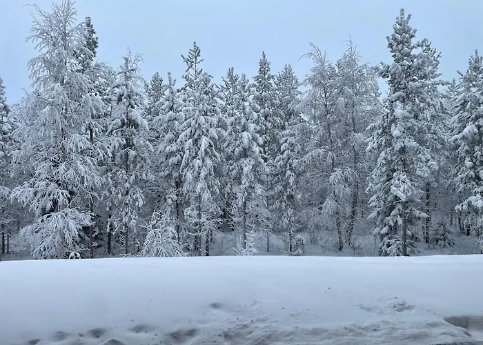 Апартаменты Nordic 2 Bedroom With Sauna